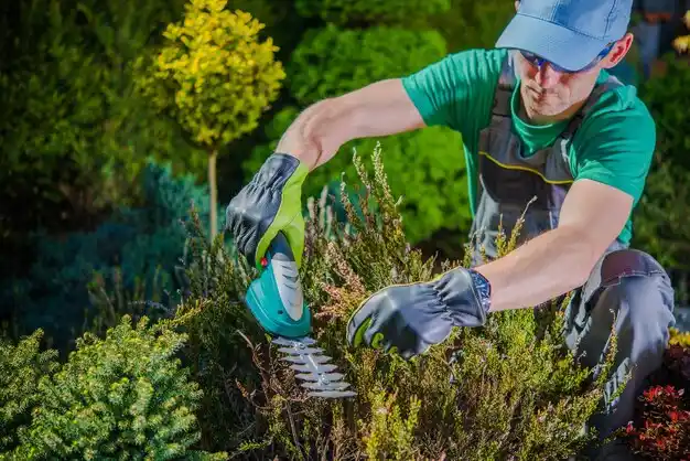 landscaping services Grambling